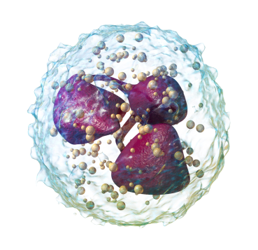 Immunology