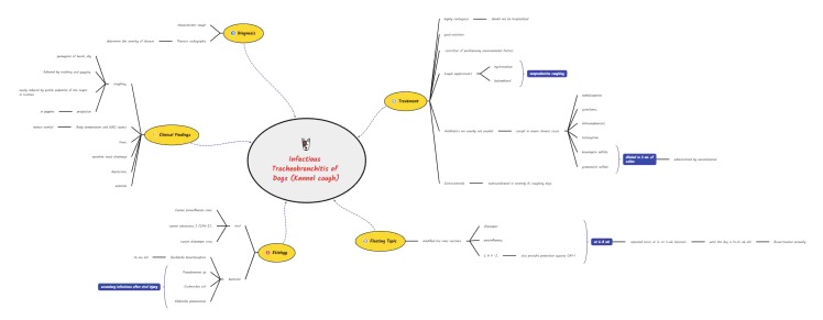 چارت بیماری تراکئوبرونشیت عفونی (کنل کاف، سرفه سگدانی) در سگ ها 
