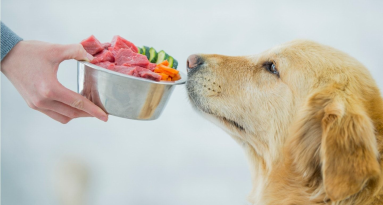 Nutrition